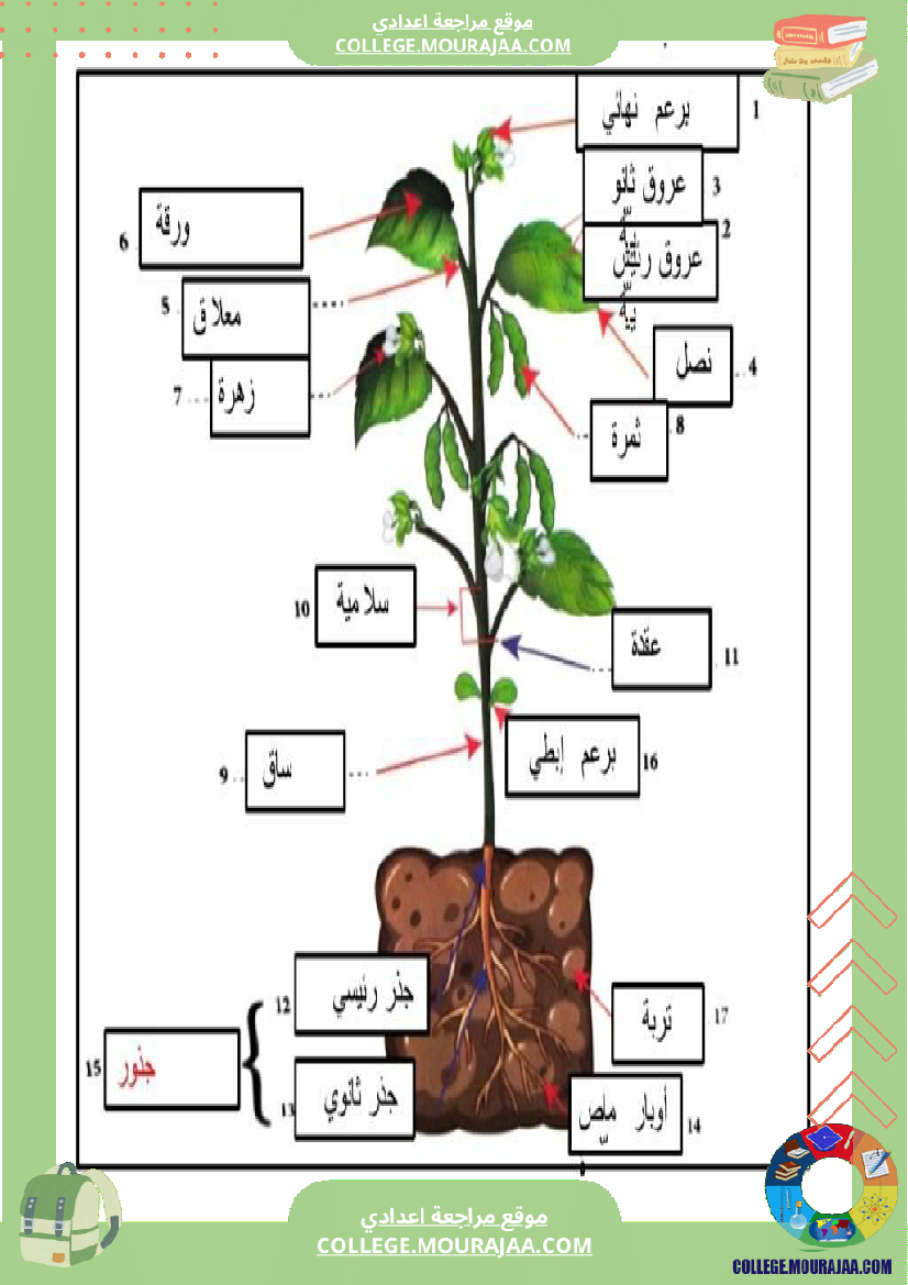 سابعة اساسي علوم الحياة و الارض ثلاثي للافادة