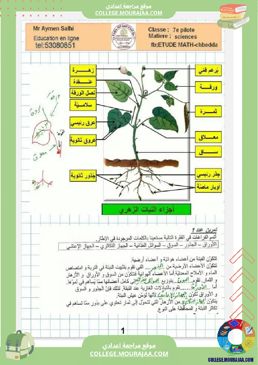 سابعة اساسي علوم الحياة و الارض ثلاثي للافادة