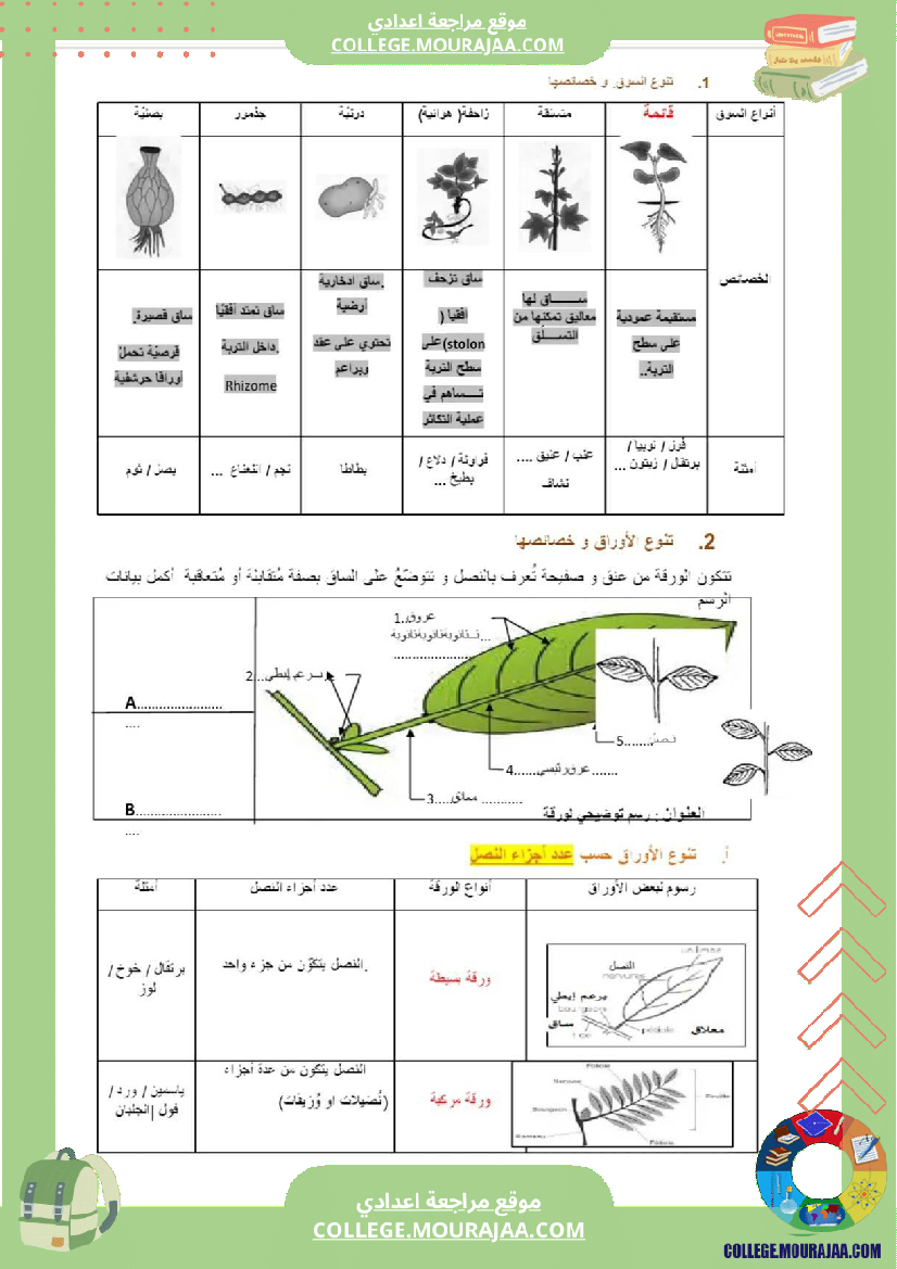سابعة اساسي علوم الحياة و الارض ثلاثي للافادة