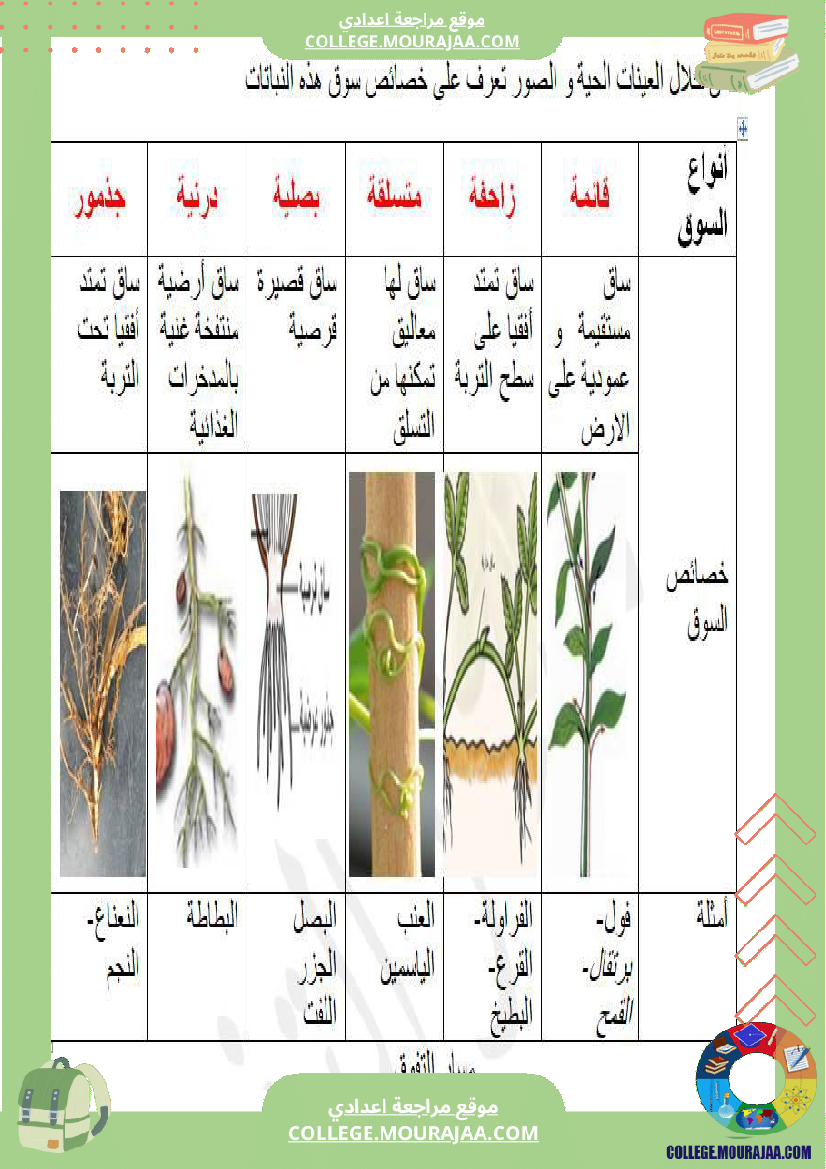 سابعة اساسي علوم الحياة و الارض ثلاثي للافادة