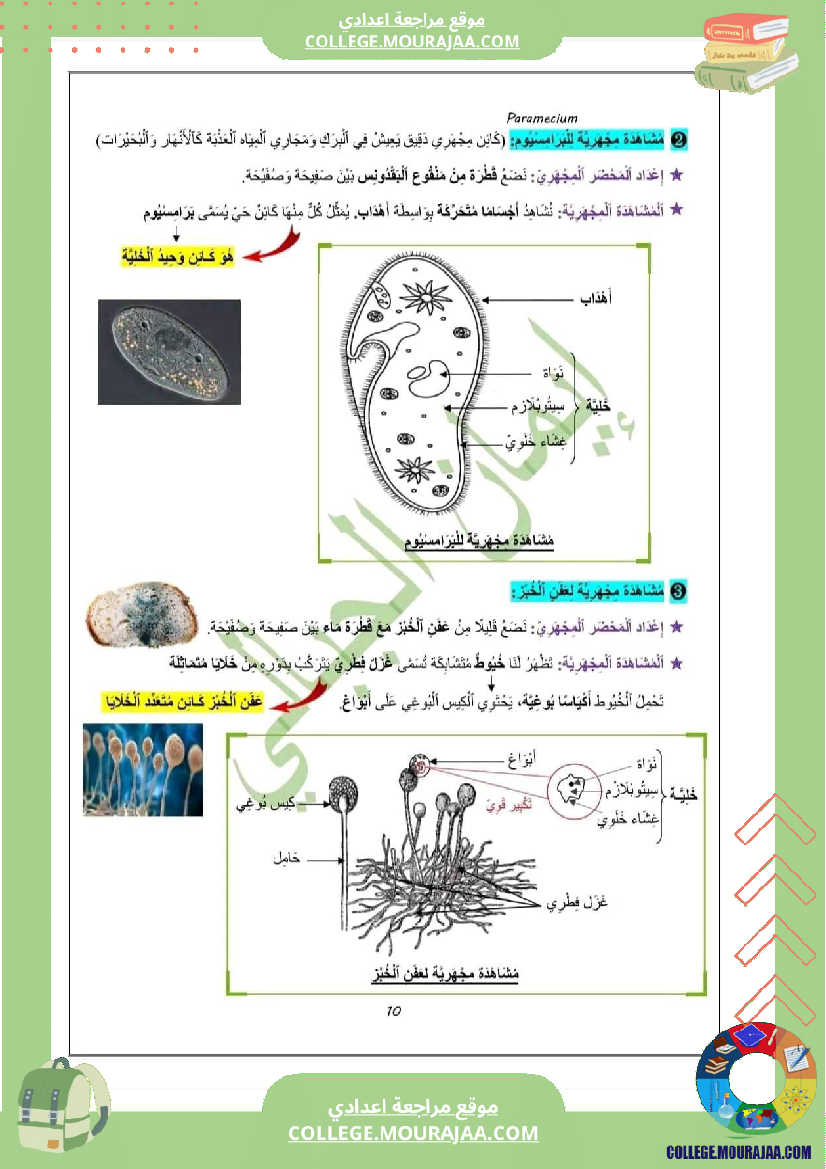 سابعة اساسي علوم الحياة و الارض درس تنوع الكائنات الدقيقة