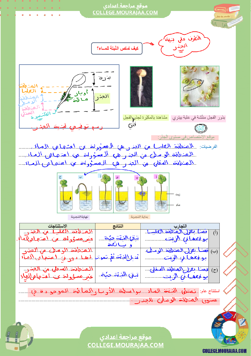 درس_حاجة_النبات_الى_الماء
