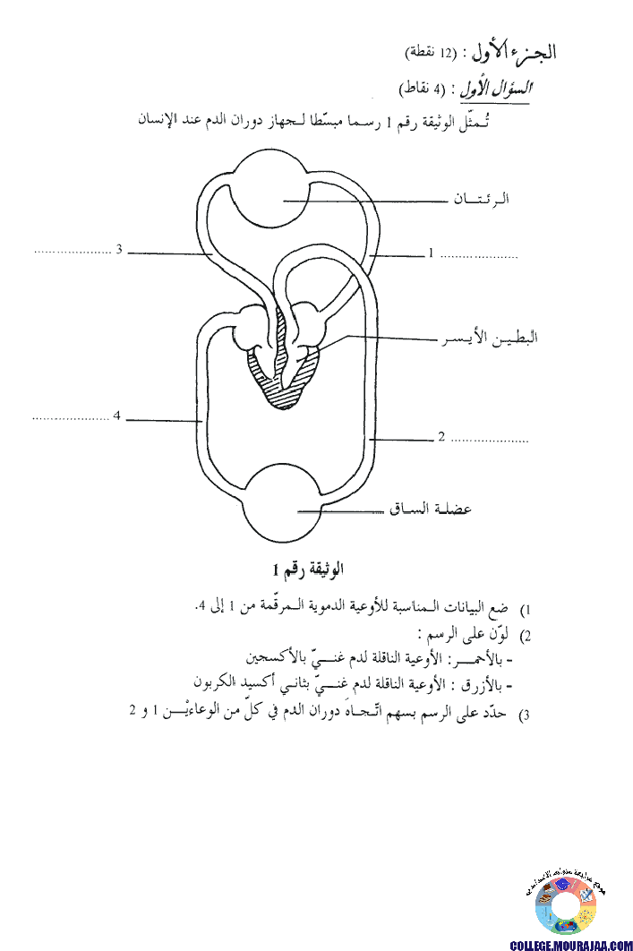 امتحان علوم الحياة و الارض مناظرة النوفيام سنة 2001